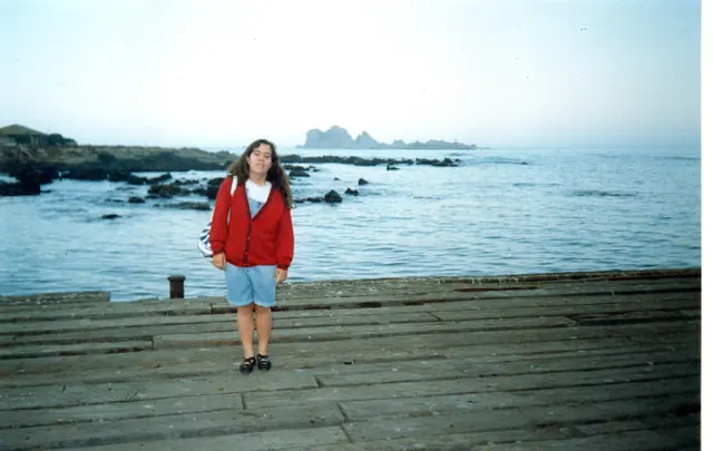 Gira 91, foto 8