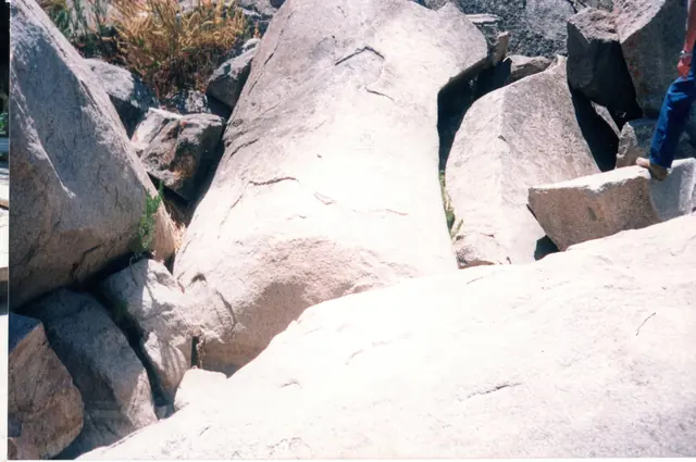 Gira 91, foto 23