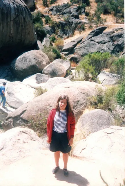 Gira 91, foto 27