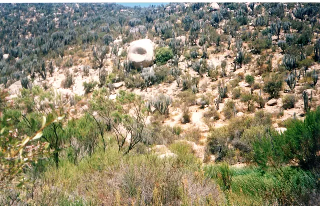 Gira 91, foto 30