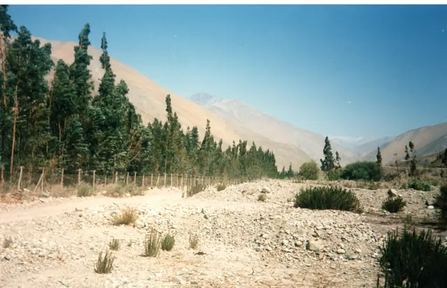 Gira 91, foto 34