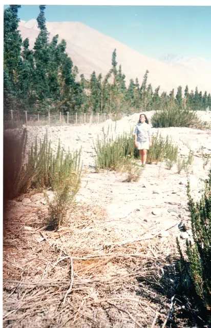 Gira 91, foto 38