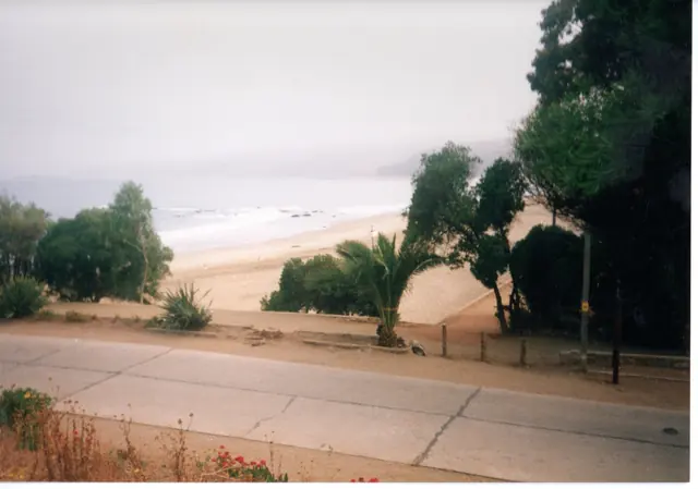 Gira 91, foto 47