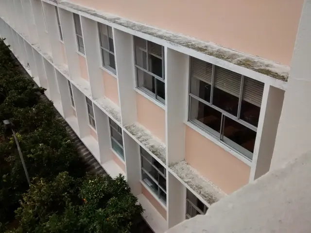 Segunda Reunión de Ex Alumnos, foto 12